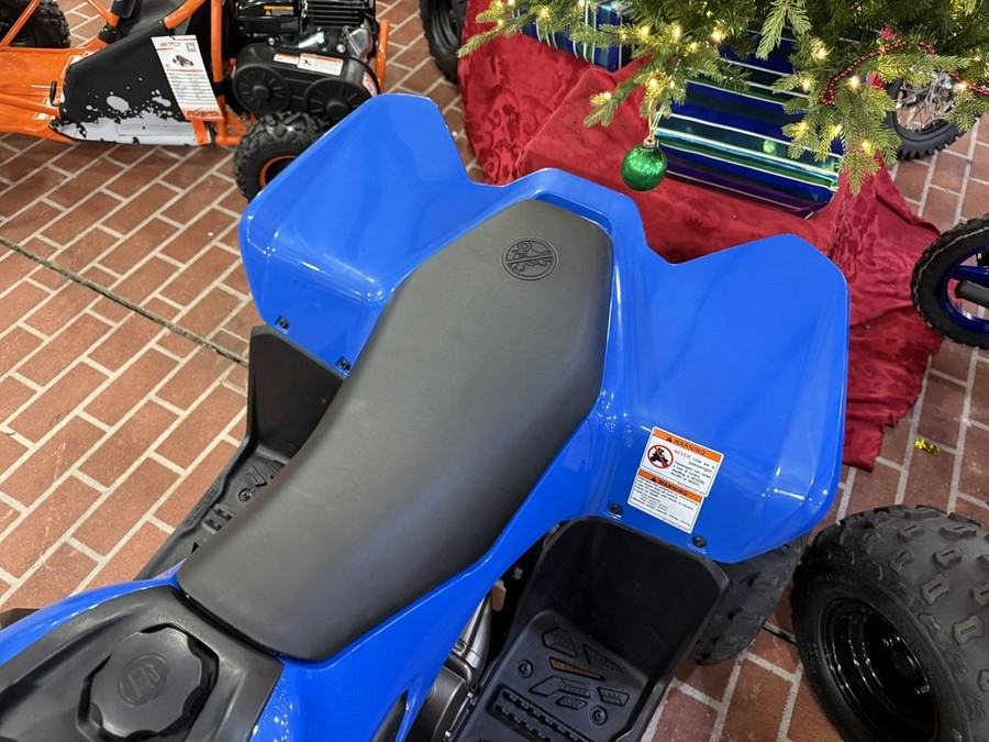 2024 CFMOTO CFORCE 110