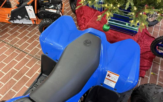 2024 CFMOTO CFORCE 110