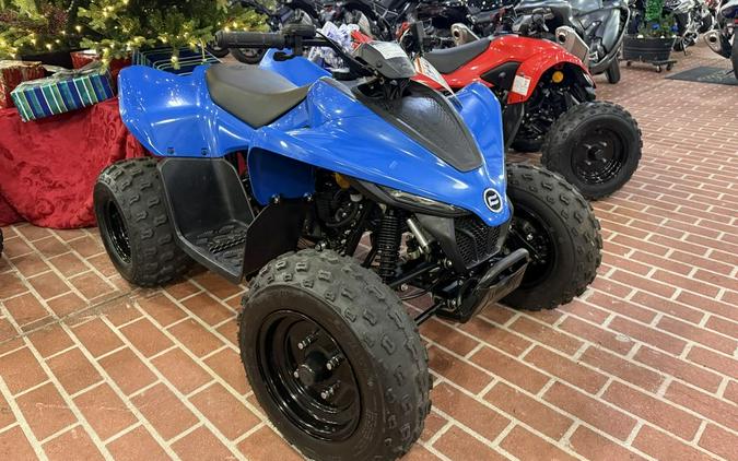 2024 CFMOTO CFORCE 110