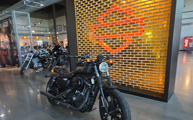 Harley-Davidson® Iron 883™ 2017