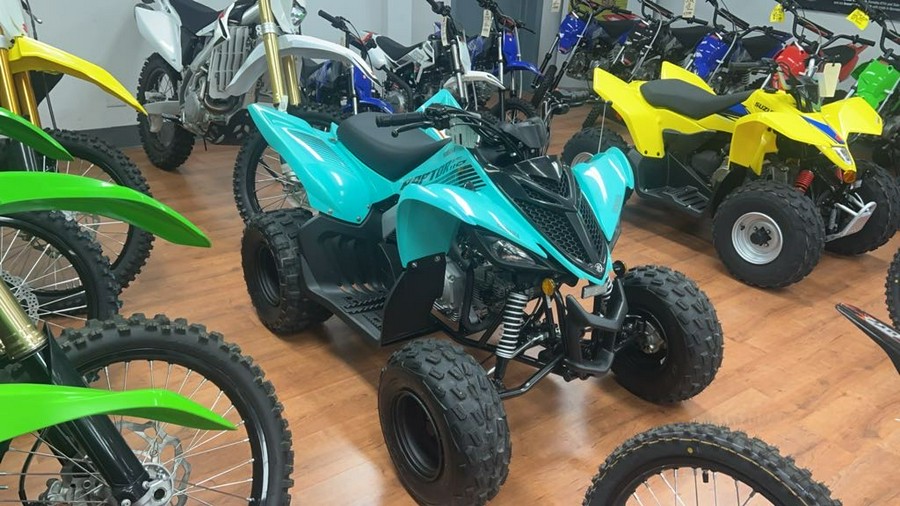 2025 Yamaha Raptor 110