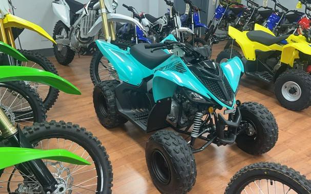 2025 Yamaha Raptor 110