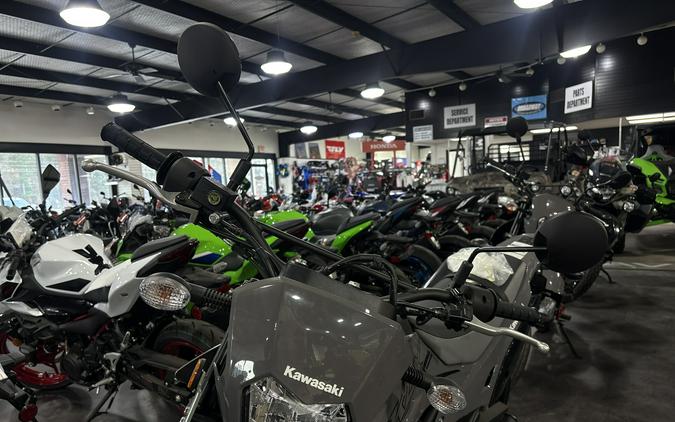 2024 Kawasaki KLX 300SM