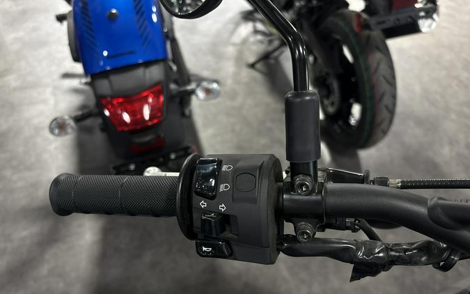 2024 Kawasaki KLX 300SM