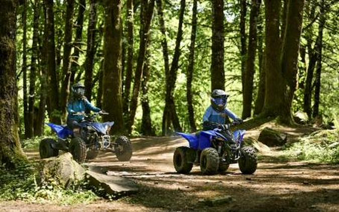 2025 Yamaha YFZ 50