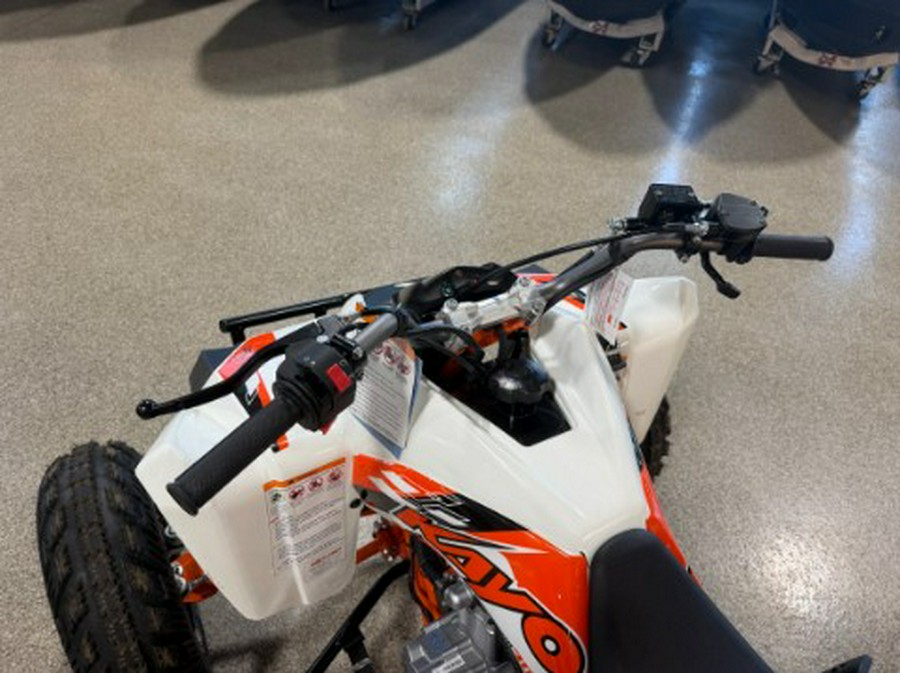 2026 Kayo Storm 300 EFI