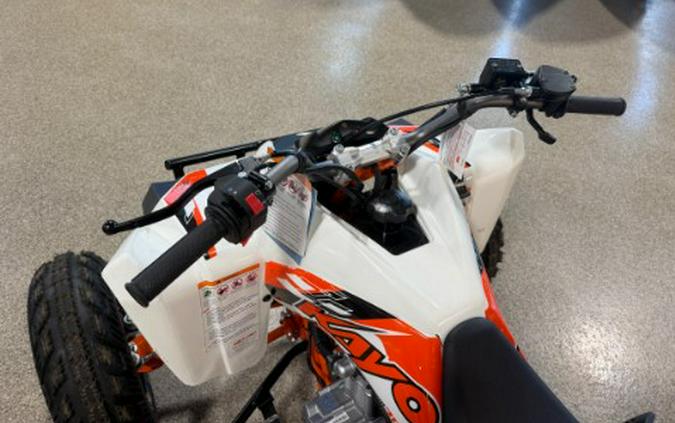2026 Kayo Storm 300 EFI