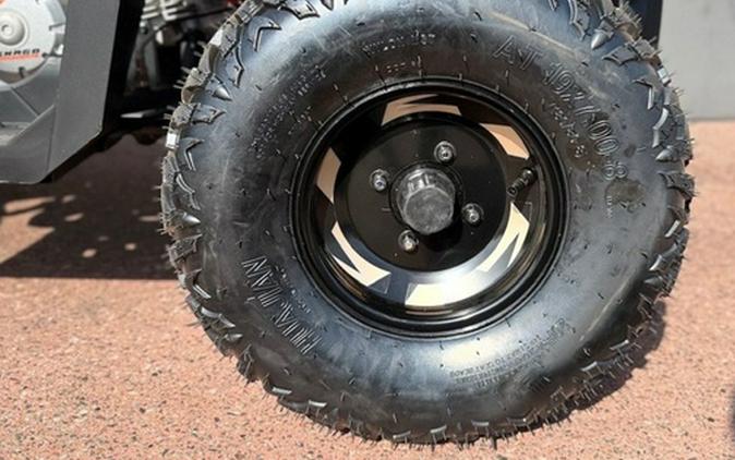 2026 Denago Powersports Mudhawk 10FI