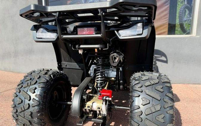 2026 Denago Powersports Mudhawk 10FI