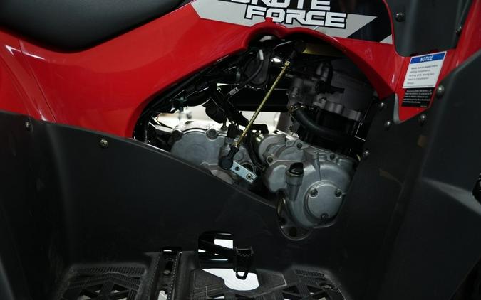 2026 Kawasaki Brute Force® 300