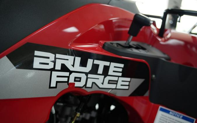 2026 Kawasaki Brute Force® 300