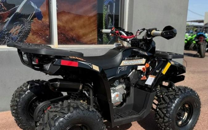 2026 Denago Powersports Mudhawk 10FI