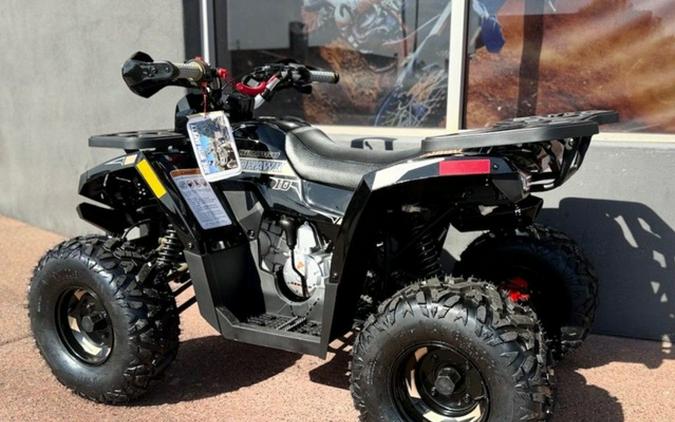 2026 Denago Powersports Mudhawk 10FI