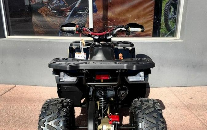 2026 Denago Powersports Mudhawk 10FI