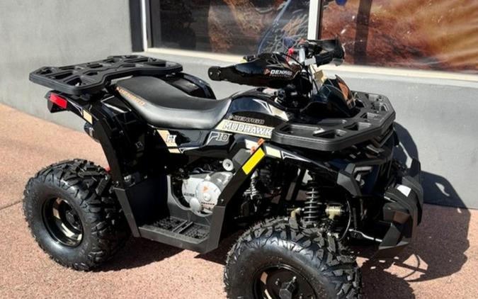 2026 Denago Powersports Mudhawk 10FI