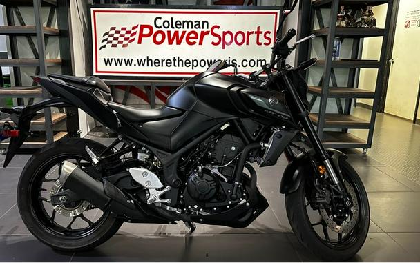 2023 Yamaha MT 03