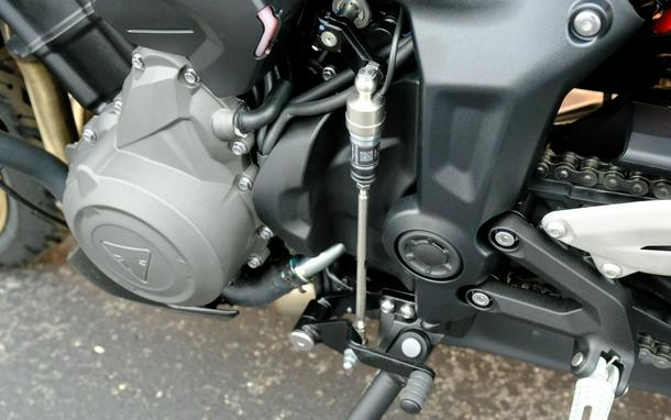2026 Triumph Trident 800