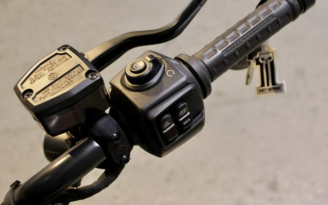 2024 Harley-Davidson Sportster Nightster RH975