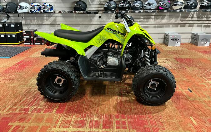 2026 Yamaha Raptor 110