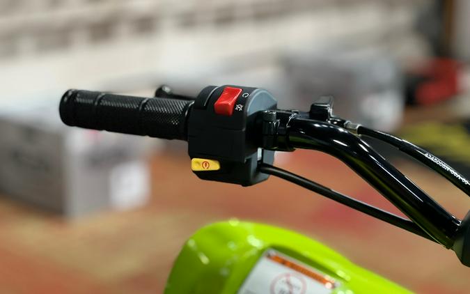 2026 Yamaha Raptor 110