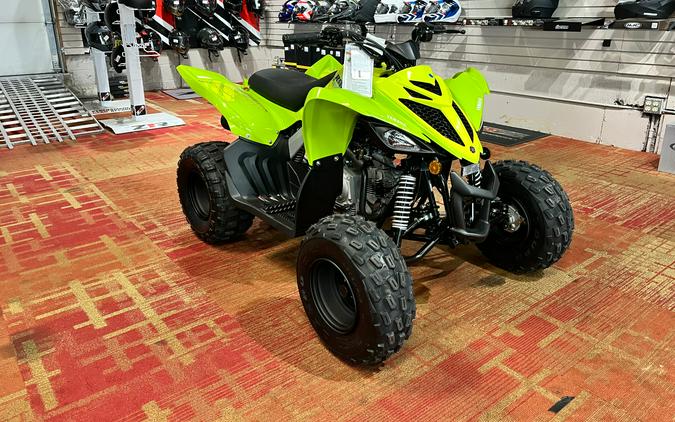 2026 Yamaha Raptor 110