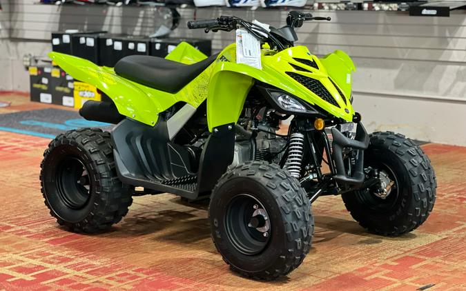 2026 Yamaha Raptor 110