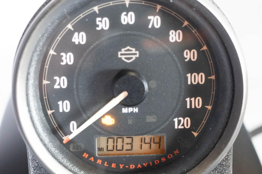 2019 Harley-Davidson Iron 883 XL883N