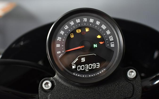 2025 Harley-Davidson Street Bob