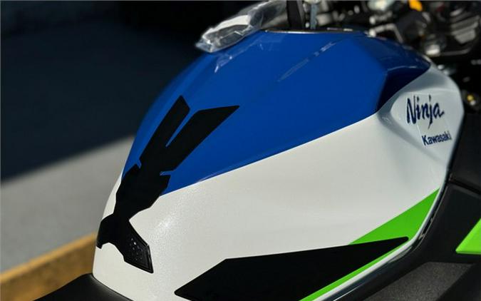 2024 Kawasaki Ninja 500 SE 40th Anniversary Edition ABS