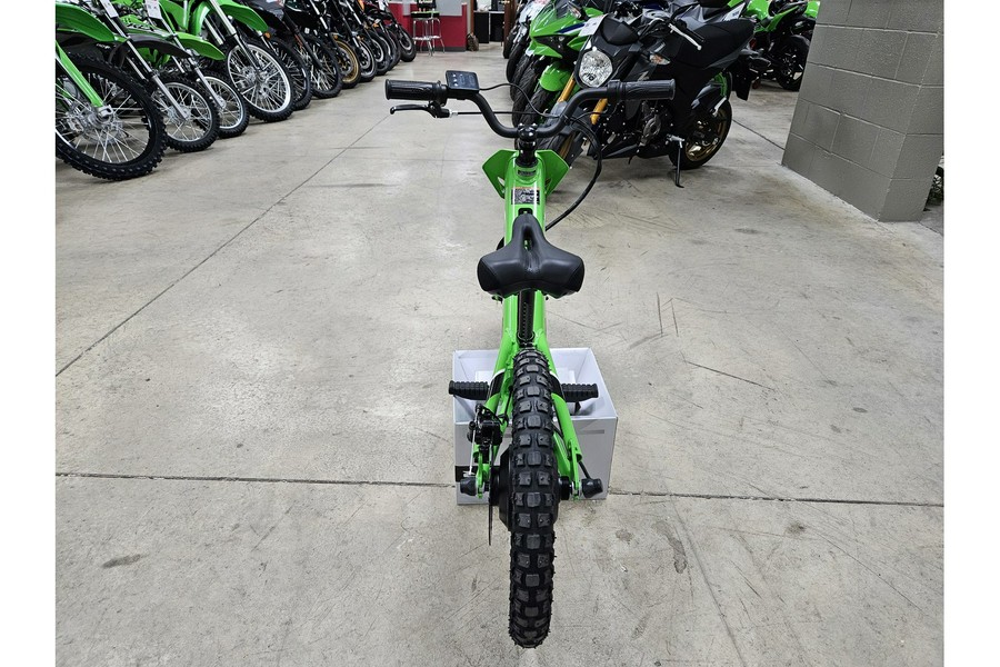 2024 Kawasaki Elektrode