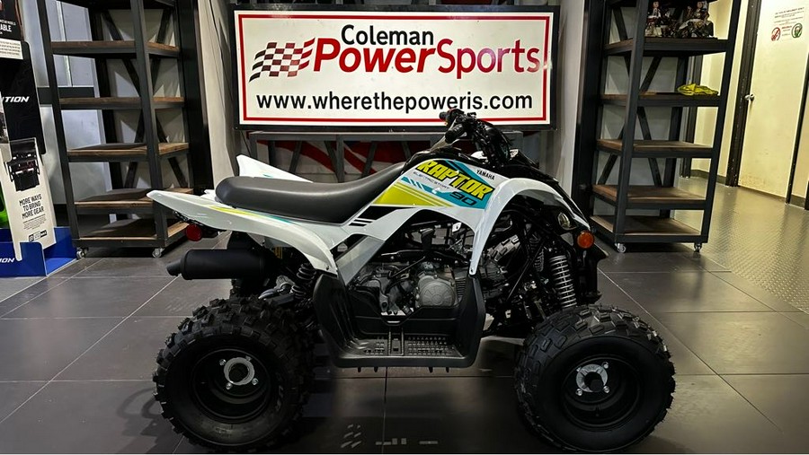 2023 Yamaha Raptor 90