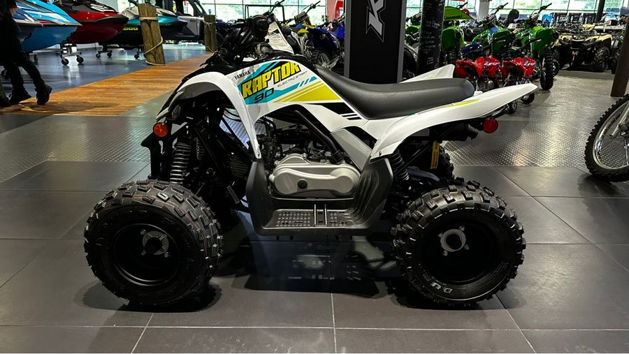 2023 Yamaha Raptor 90