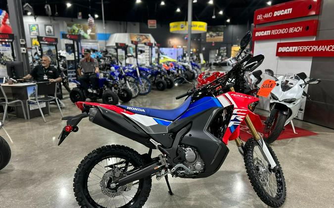 2025 Honda CRF300L RALLY