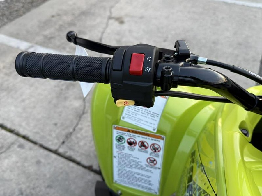 2026 Yamaha Raptor 110