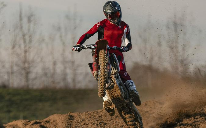 2026 Ducati Desmo450 MX Factory