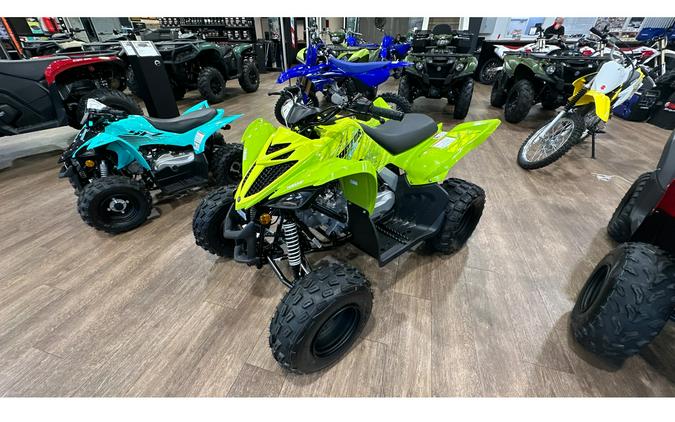 2026 Yamaha YFM01RYXTG