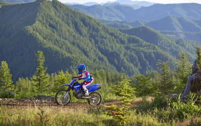 2027 Yamaha TT-R125LE