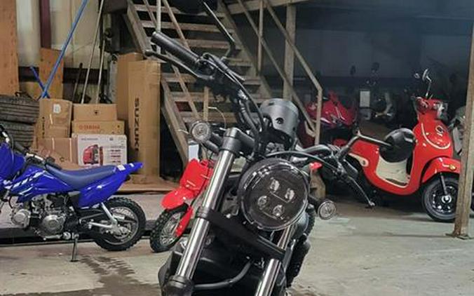2026 Honda Rebel 300 E-Clutch