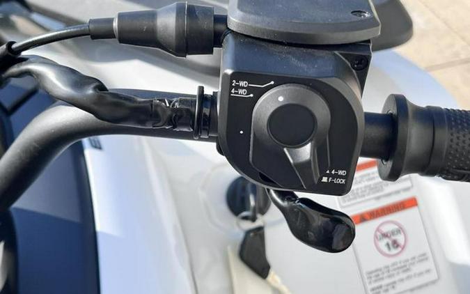 2025 CFMOTO CForce 500