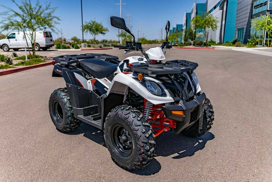 2025 Kayo Bull 300 EFI