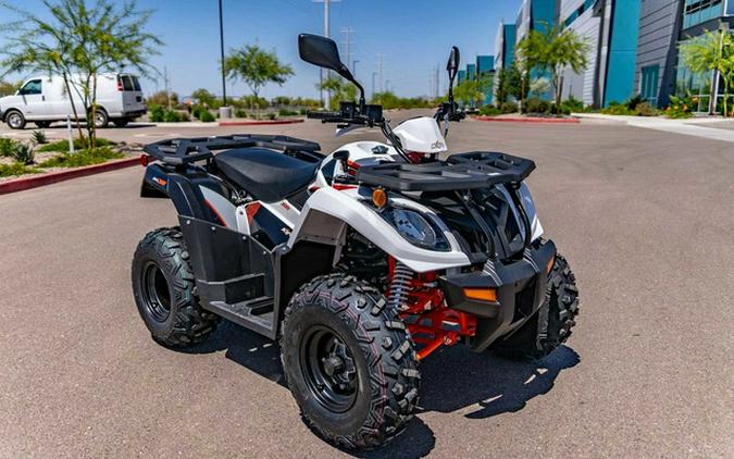 2025 Kayo Bull 300 EFI