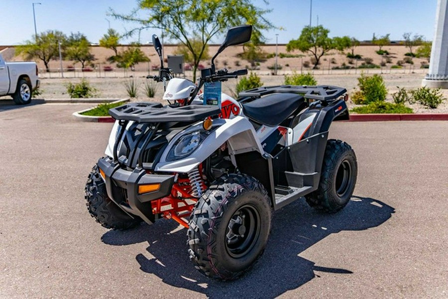 2025 Kayo Bull 300 EFI