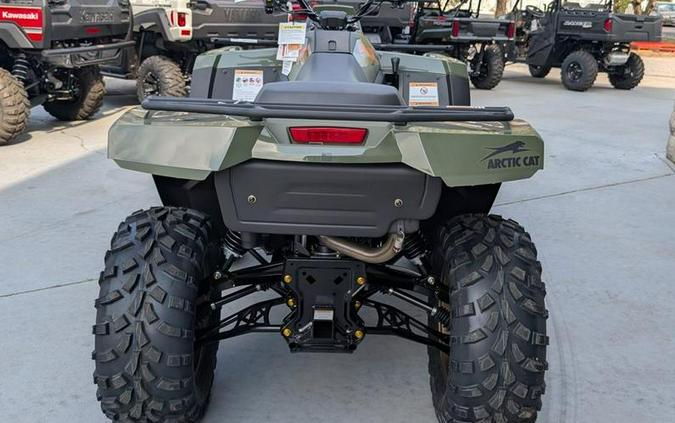 2026 Arctic Cat® Bearcat 600 EPS