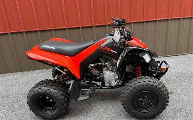 2024 Can-Am DS 250