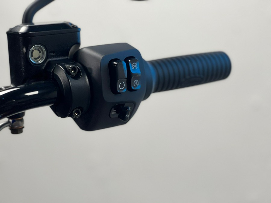 2025 Indian Motorcycle Chief Dark Horse®