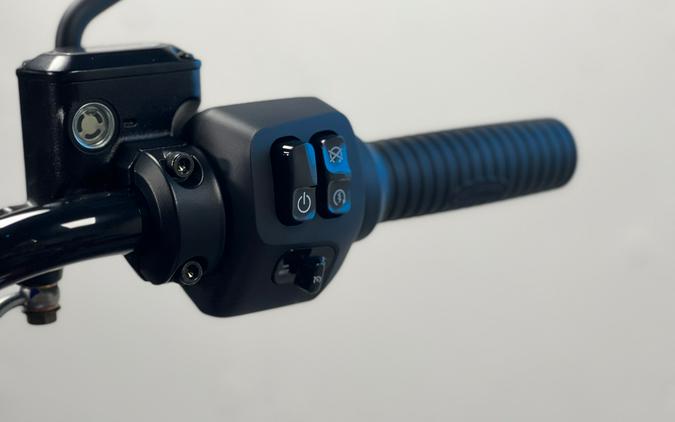 2025 Indian Motorcycle Chief Dark Horse®