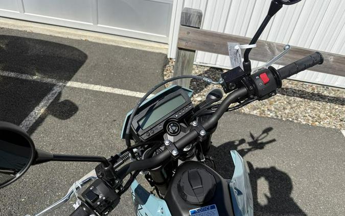 2025 Kawasaki KLX®300SM