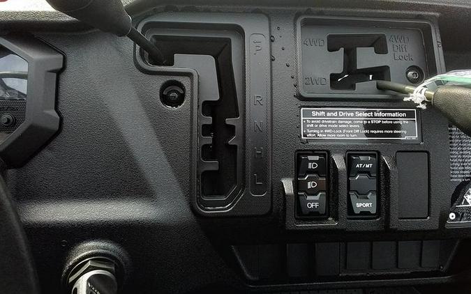 2025 Honda® Pioneer 1000-5