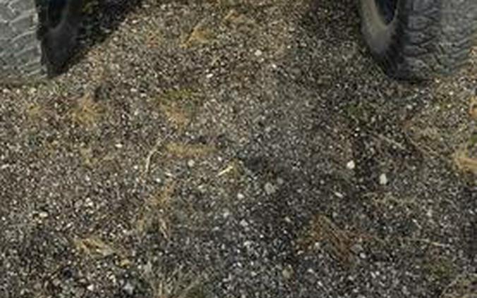 2020 Honda® Talon 1000X