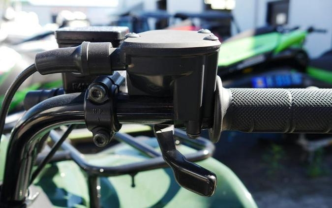 2025 Kawasaki Brute Force® 300